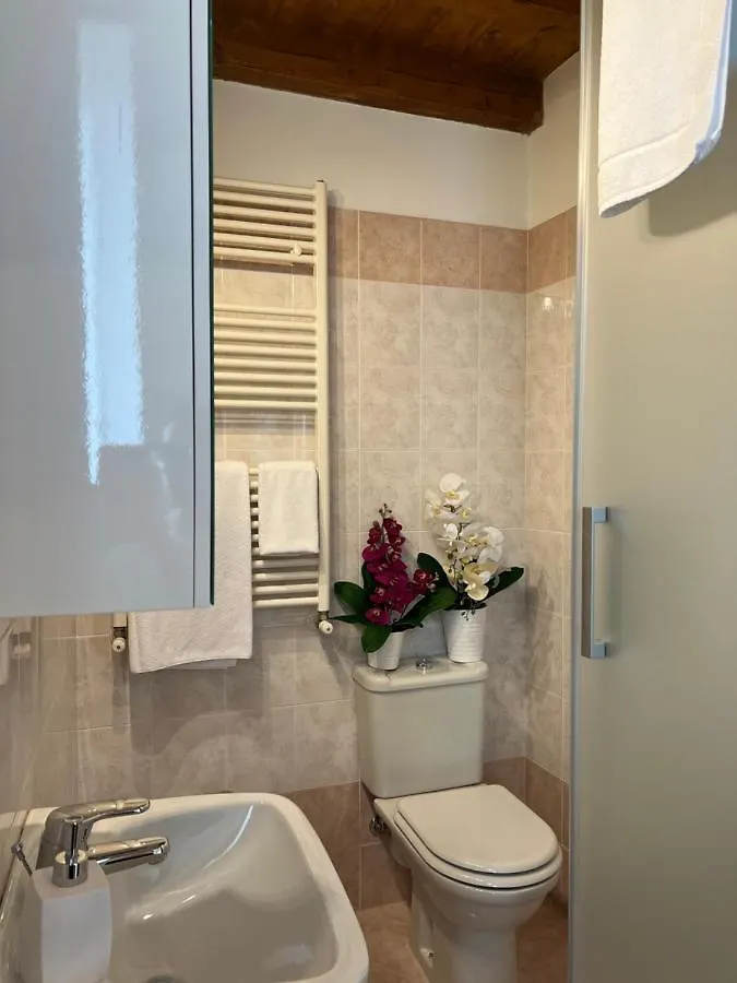 La Casina Degli Ulivi Apartment Toscolano Maderno 0*,